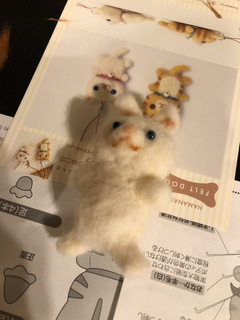 Photo 2019-10-22 17 42 52.jpg